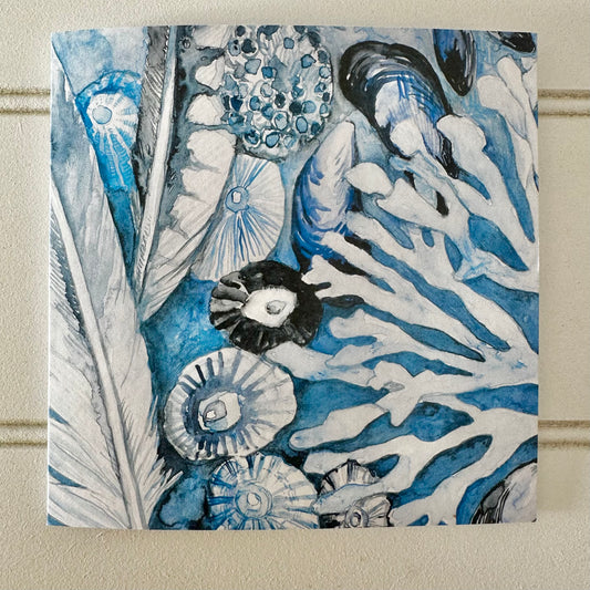 Limpets and Feathers Card