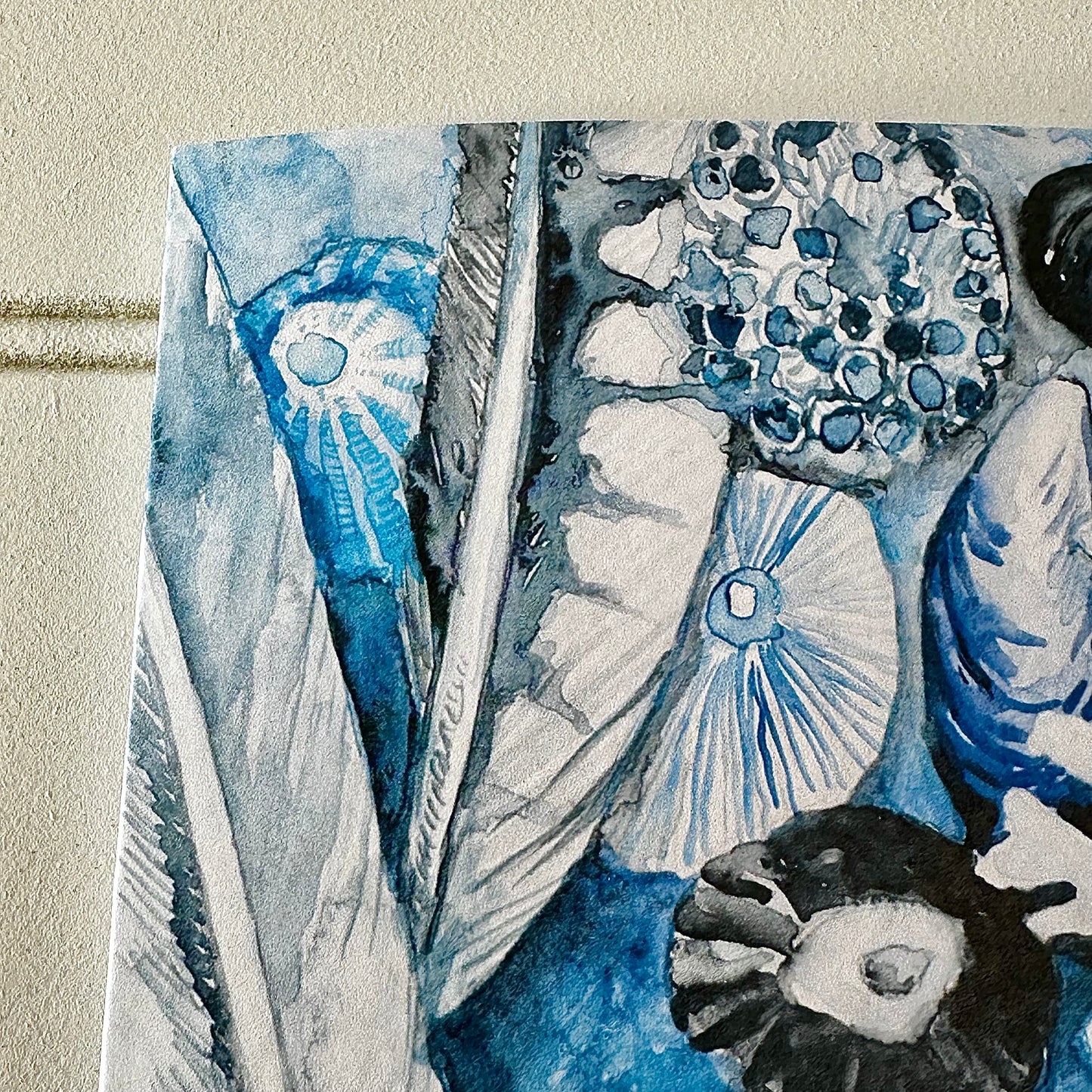 Limpets and Feathers Card