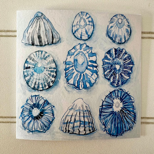 Limpets Card