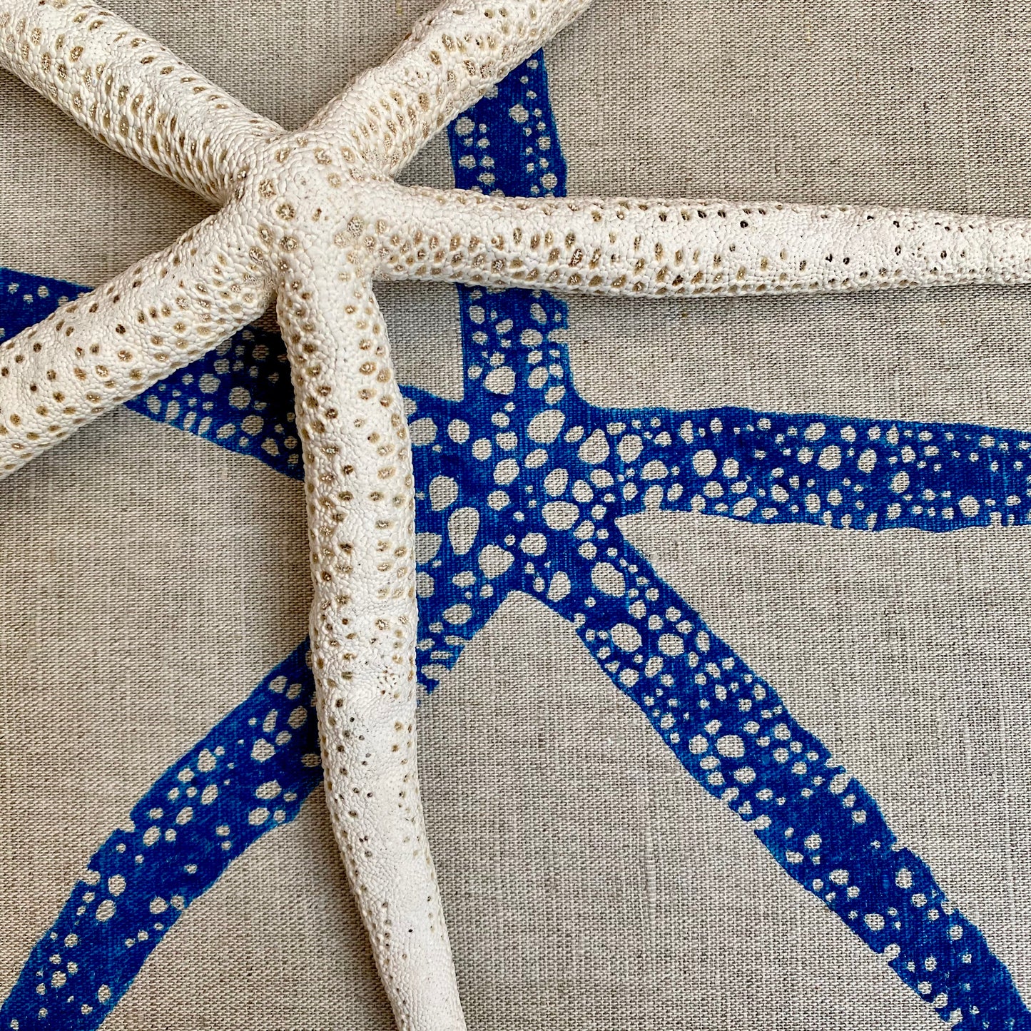 Sea Star Cushion
